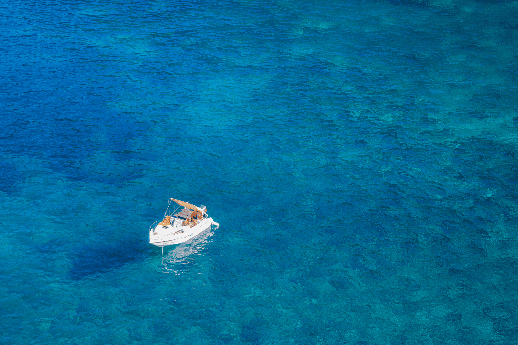 Descubra como encontrar significado nas pequenas coisas