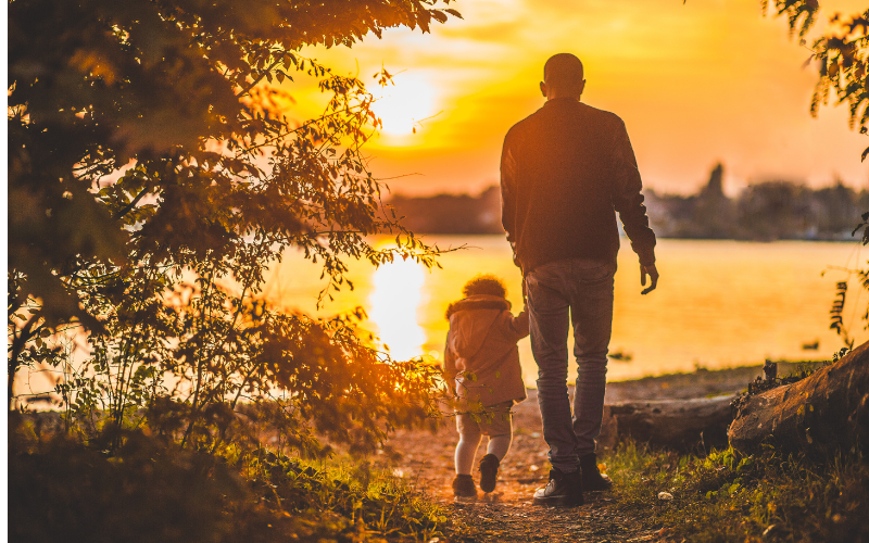 A vida é uma trilha