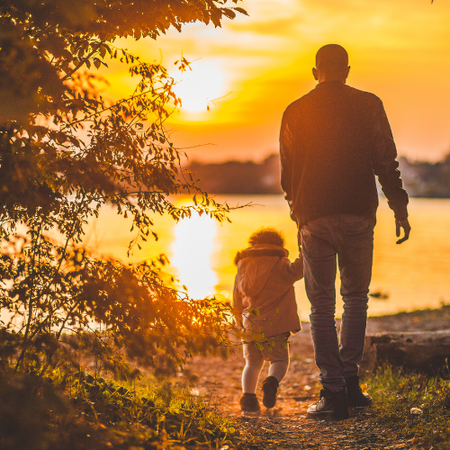 A vida é uma trilha